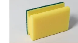 Scrub Sponge